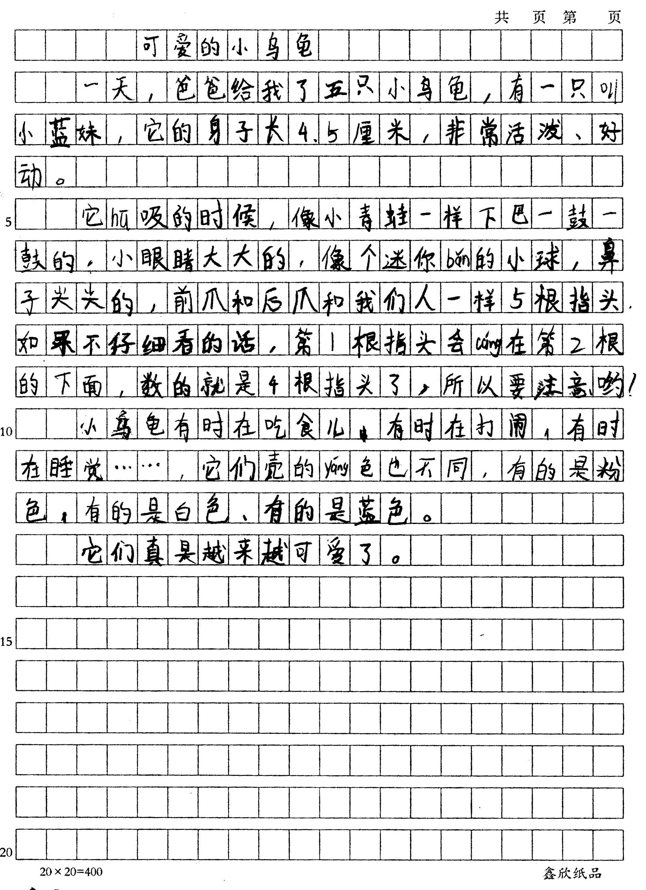 可爱的小乌龟