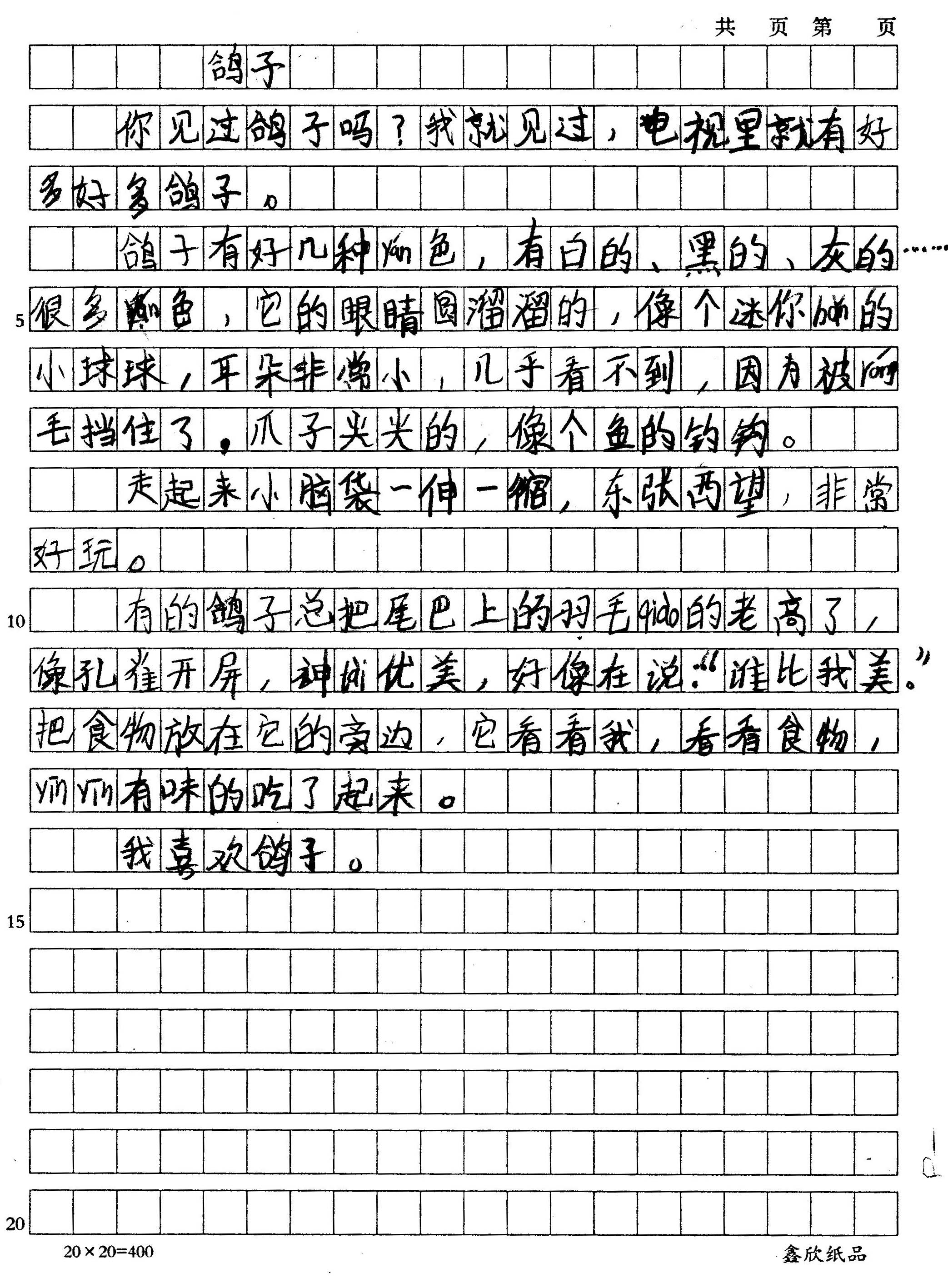鸽子